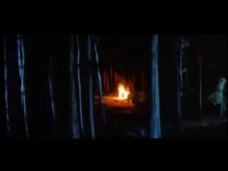 IP 5 L'Ile aux pachydermes - Extrait