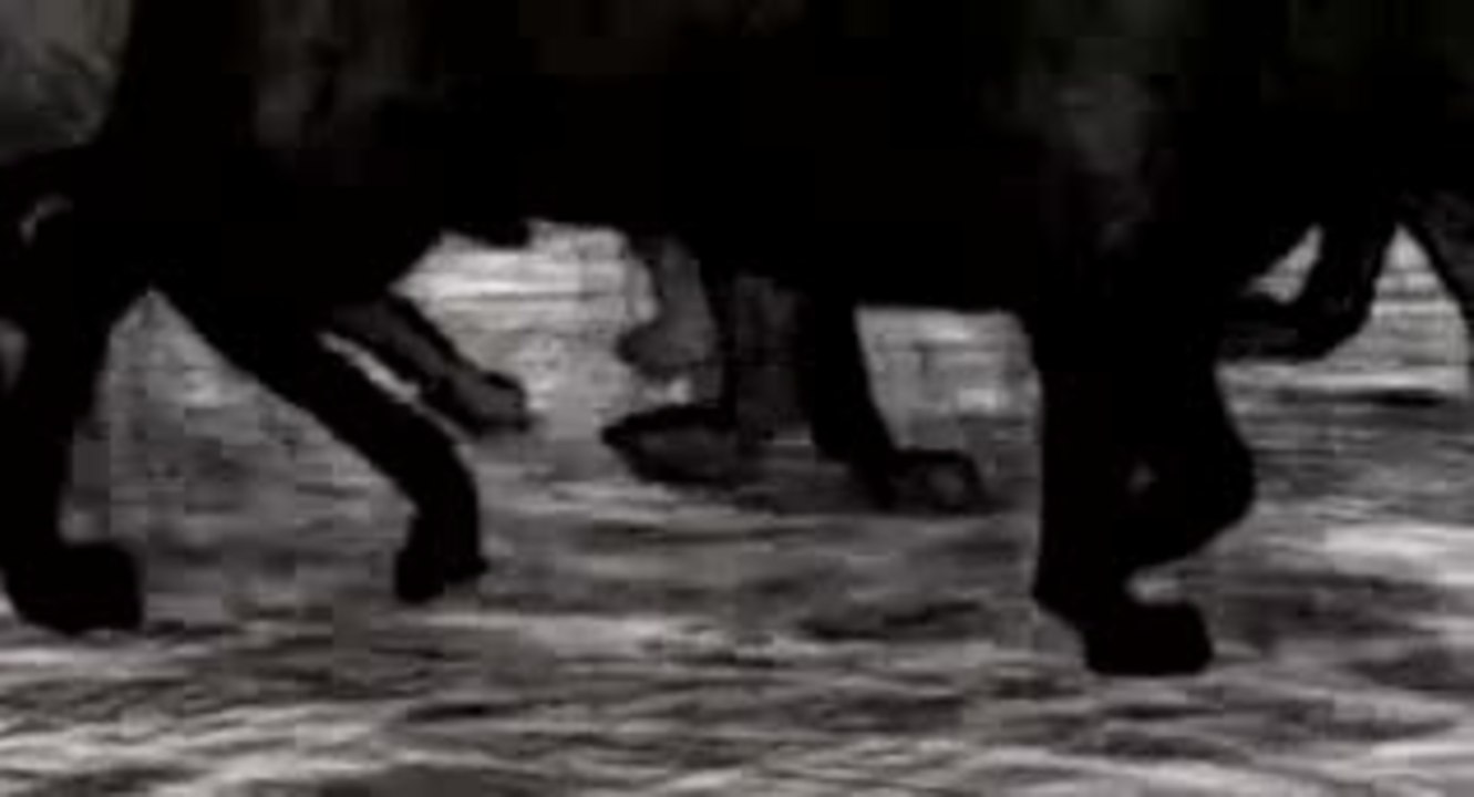 'Fear[s] of the Dark' Trailer