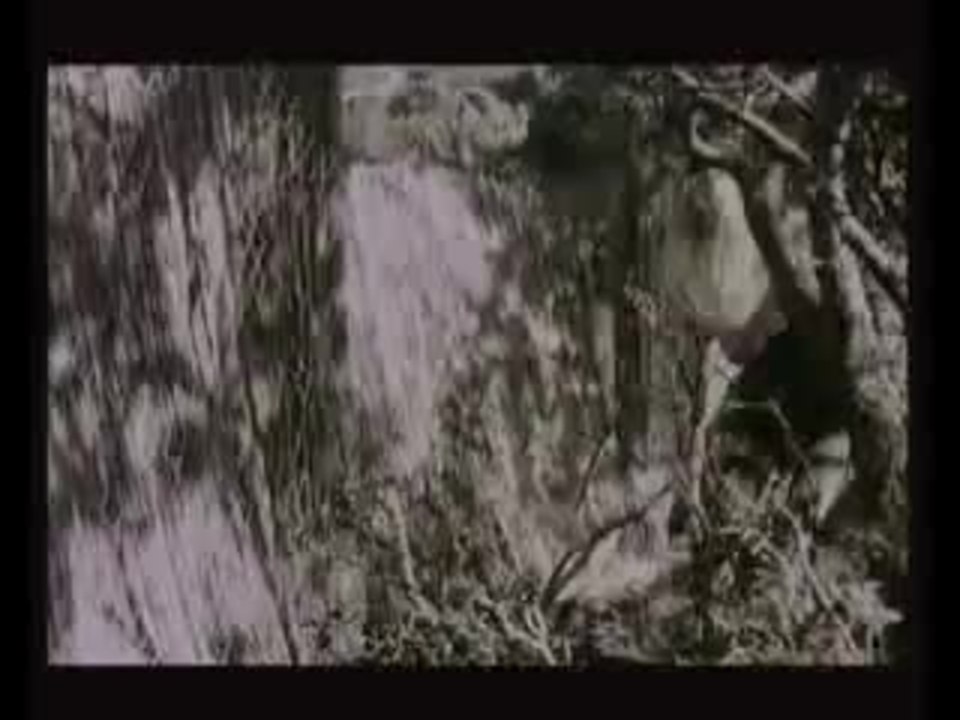 OASE DER GEFANGENEN FRAUEN - Flucht