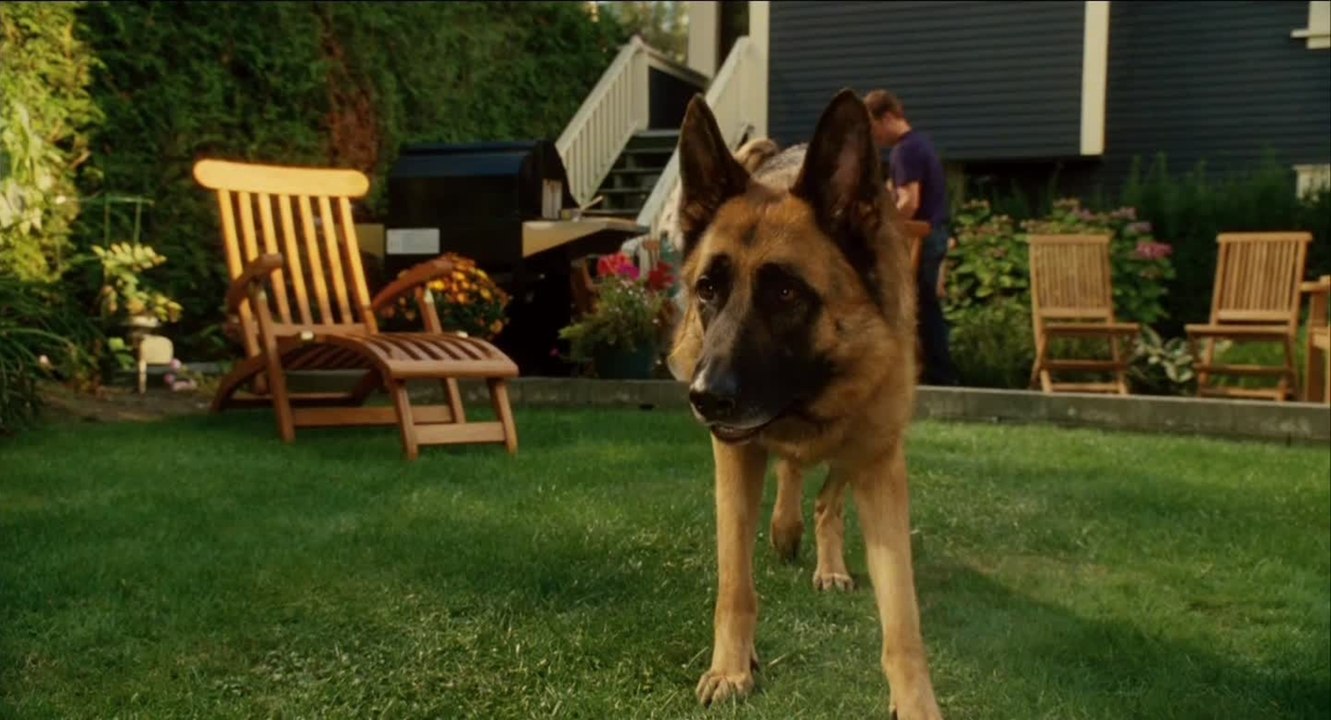 Cats and Dogs 2 - Trailer (Deutsch)