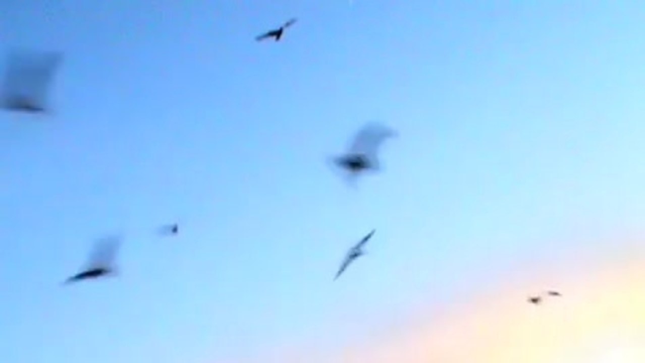 All Tomorrows Parties - Trailer (Deutsch)