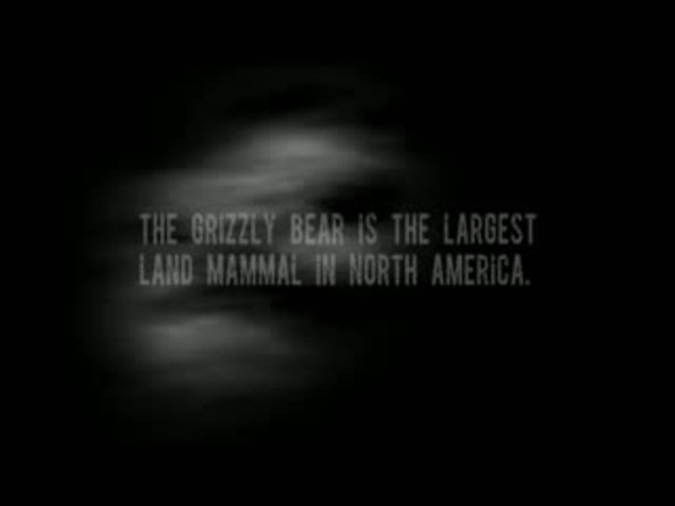 Bear - Trailer (Deutsch)