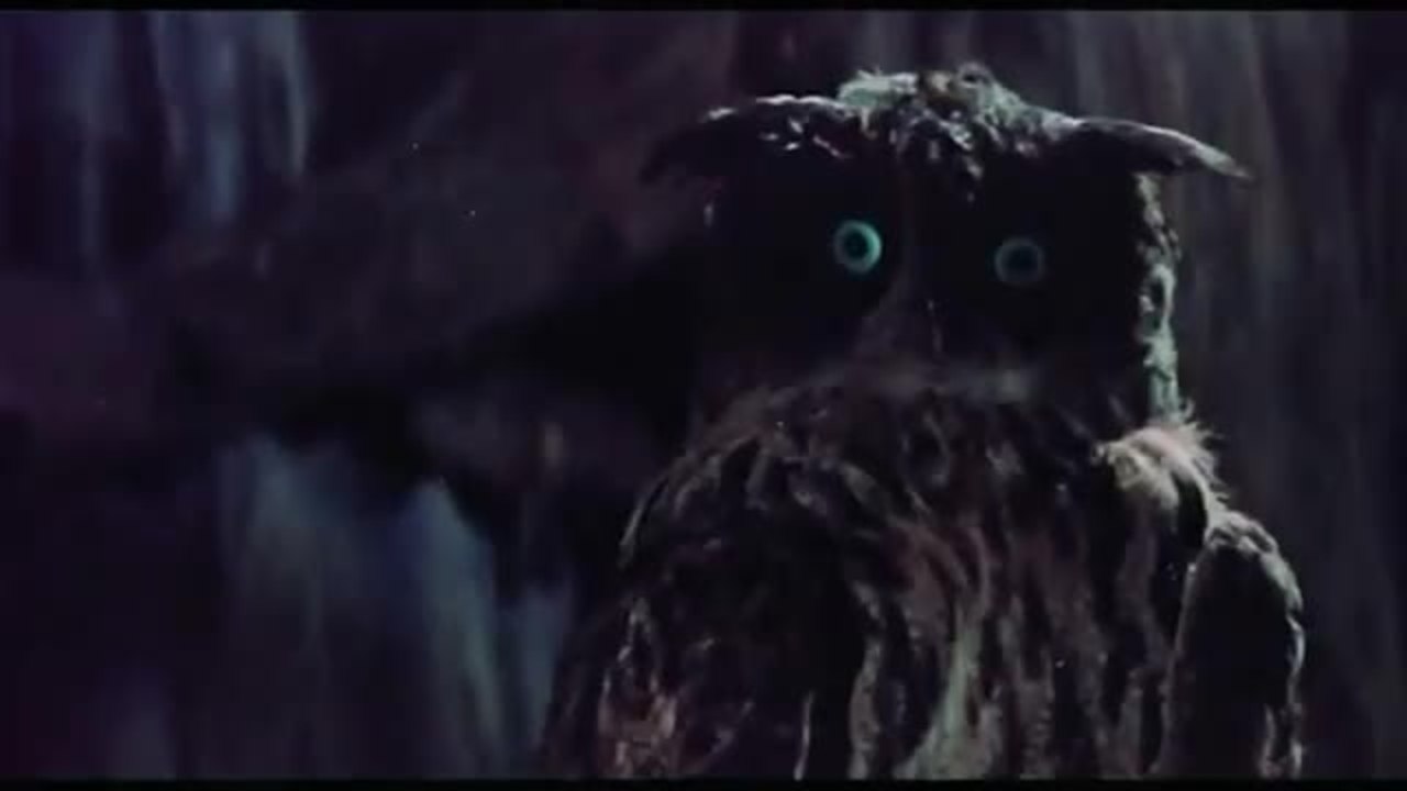 Die schÃ¶ne Warwara - Trailer (Deutsch)