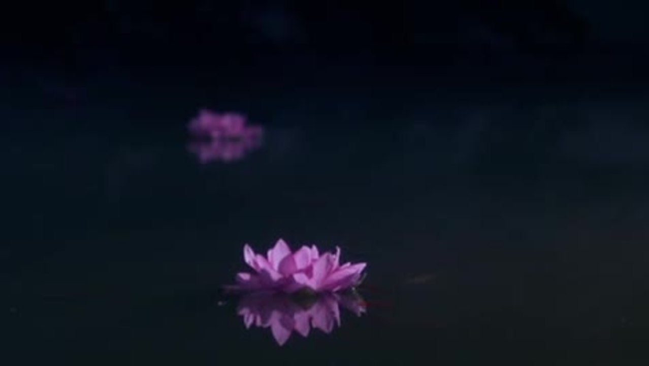 Little Paris - Trailer (deutsch)