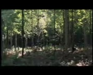 Ein Engel im Winter - Trailer (deutsch)