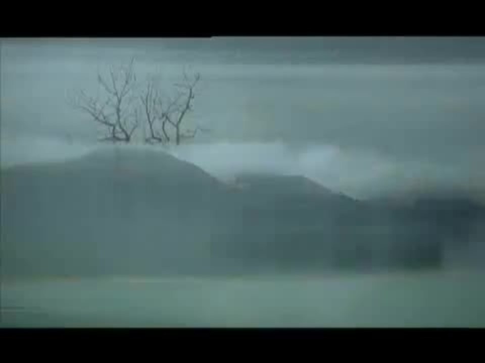 The Tiger Blade - Trailer (Deutsch)