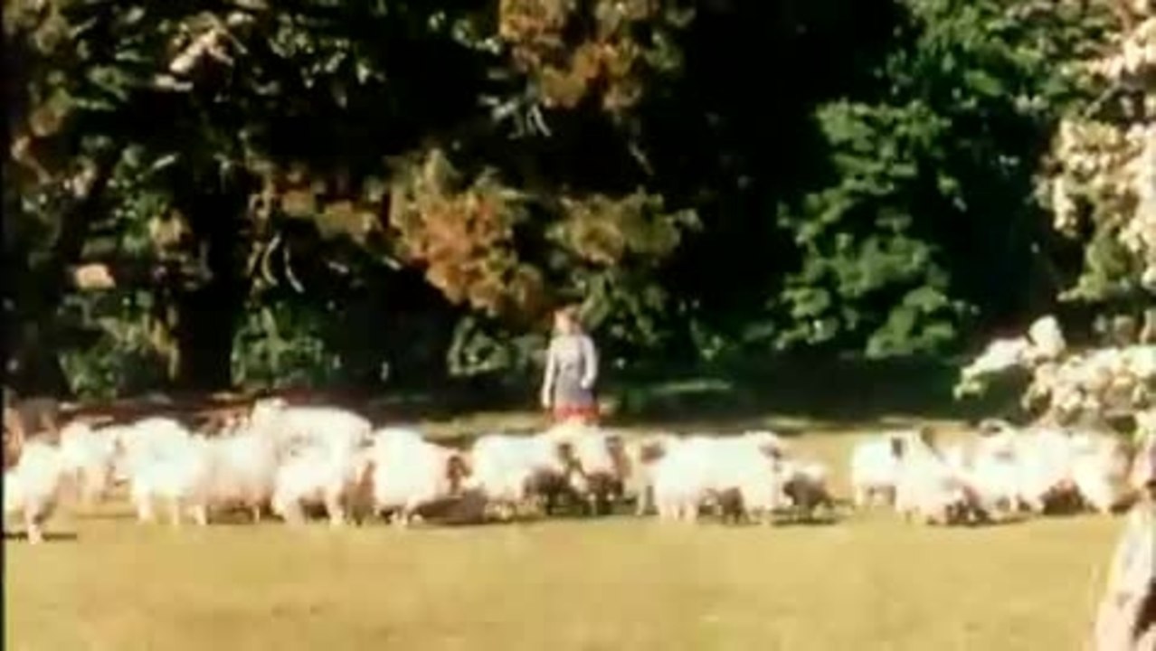 Der Sieger - Trailer (Deutsch)