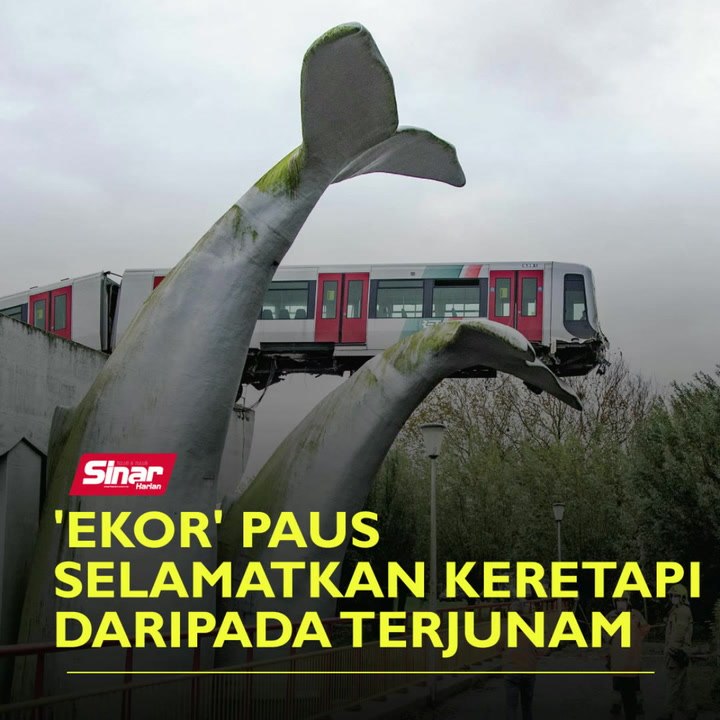 'Ekor' paus selamatkan keretapi daripada terjunam