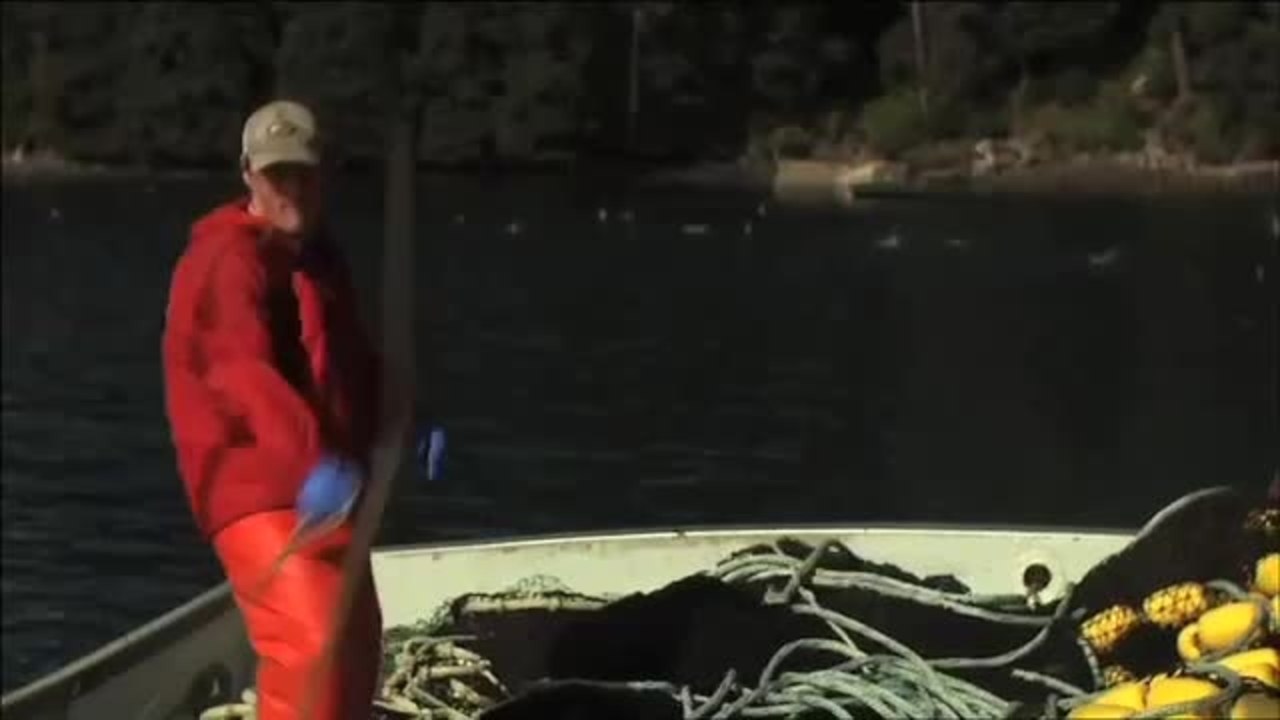 Die unbequeme Wahrheit Ã¼ber unsere Ozeane - Trailer (deutsch)