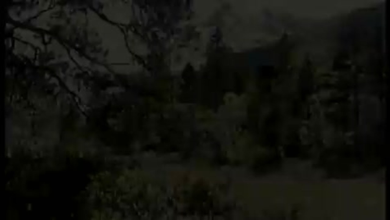 Un ewig singen die WÃ¤lder - Trailer (Deutsch)