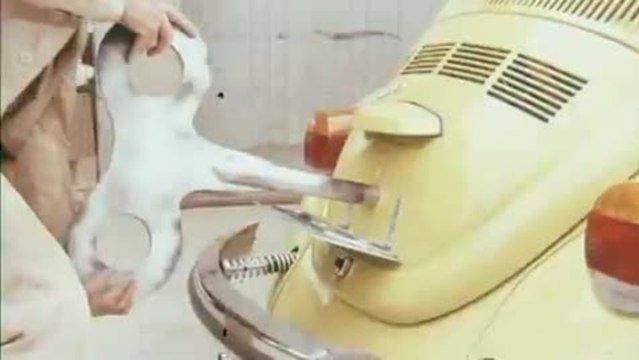 Ein Käfer auf Extratour