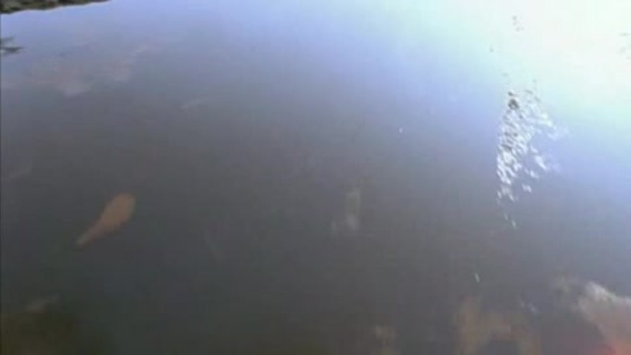 Lektionen in Finsternis - Trailer