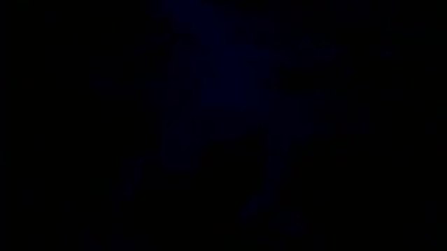 Charlie - Alle Hunden kommen in den Himmel - Trailer (Englisch)