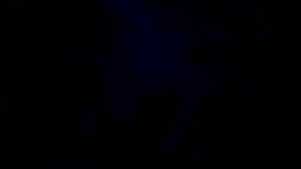 Charlie - Alle Hunden kommen in den Himmel - Trailer (Englisch)