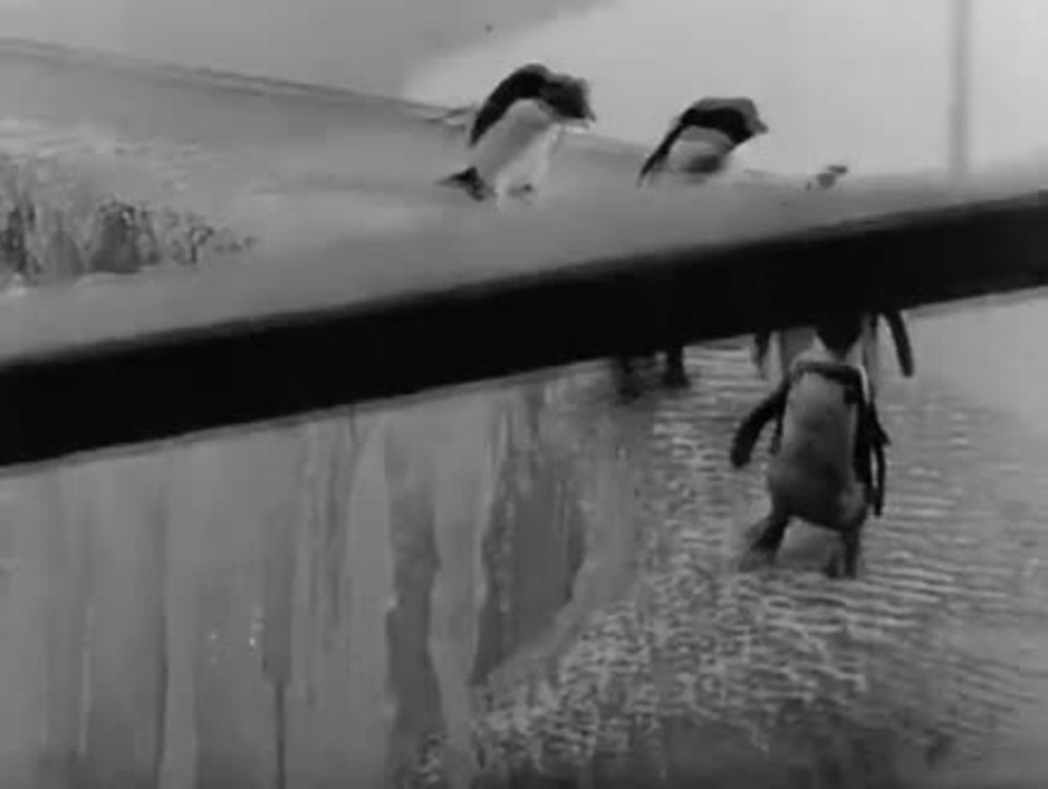 As Young as You Feel - Trailer