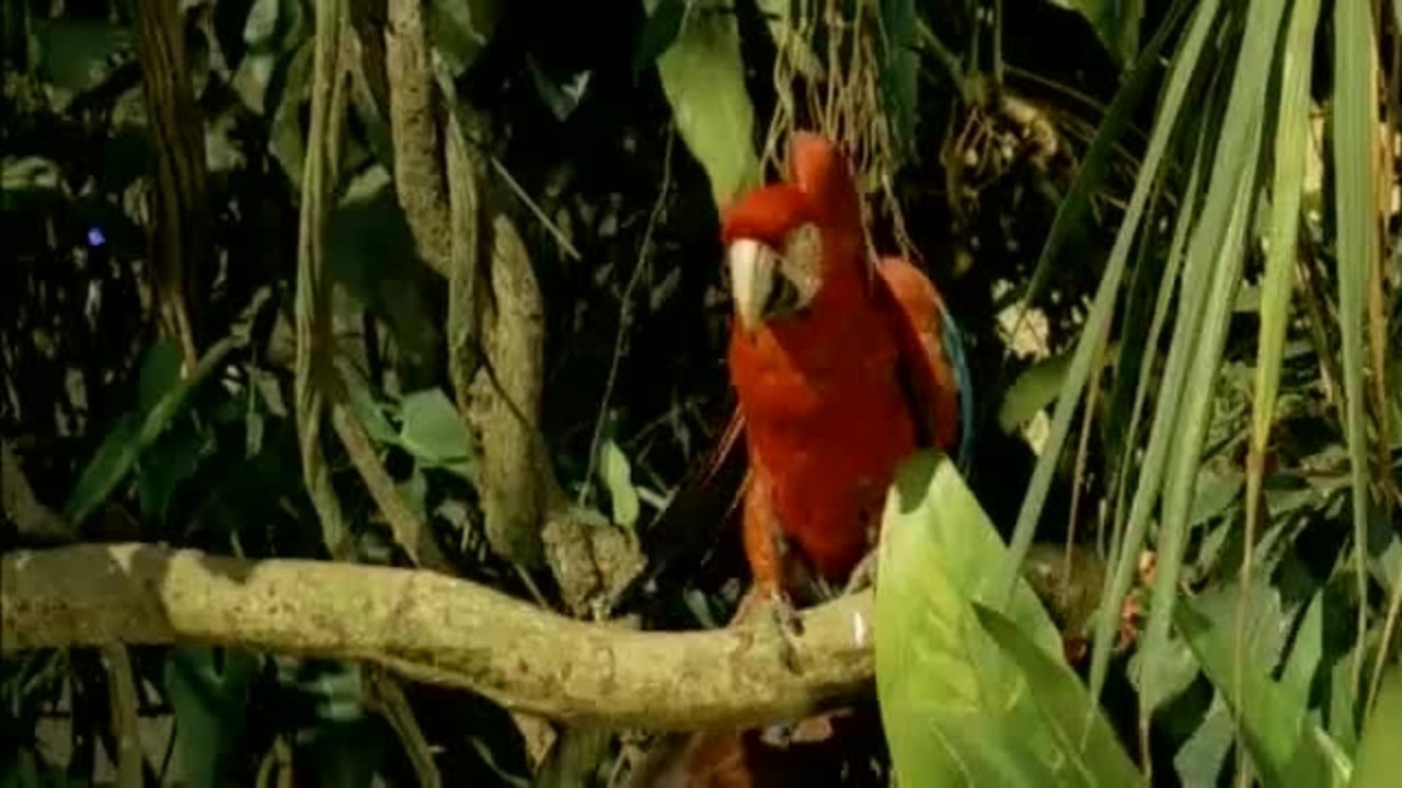 Freddy - Weit ist der Weg - Trailer (Deutsch)