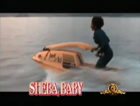 Sheba Baby