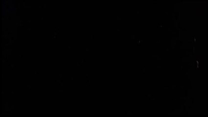 Die Ermordung eines Chinesichen Buchmachers - Trailer (Englisch)