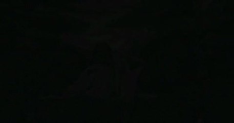 Meine Frau, die Spartaner, und ich - Trailer (Deutsch)