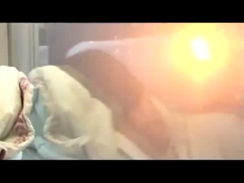 I Shot My Love - Trailer (Deutsch)