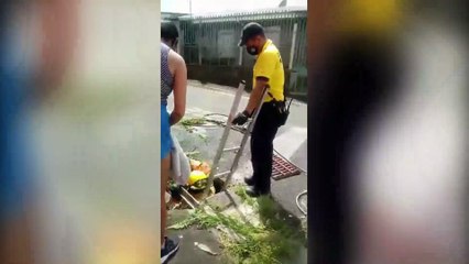 tn7-rescate-perro-bomberos-091120