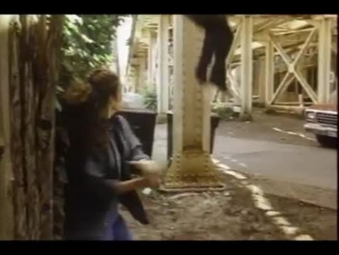 Rapid Fire - Unbewaffnet und extrem gefährlich