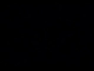 South Central - Trailer (Englisch)