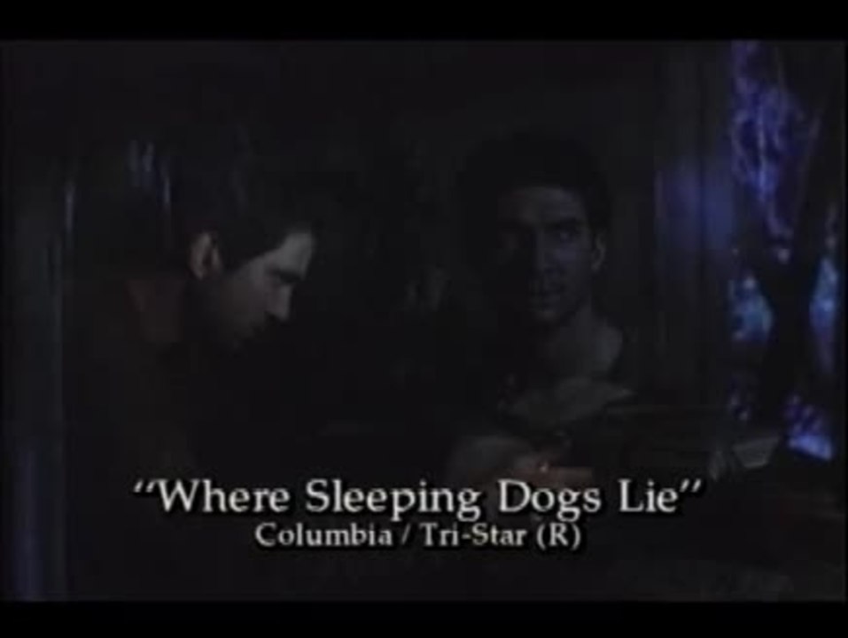 Warum schlafende Hunde wecken Video 1 von 1