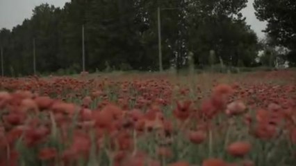 Ballada - Trailer (Deutsch)