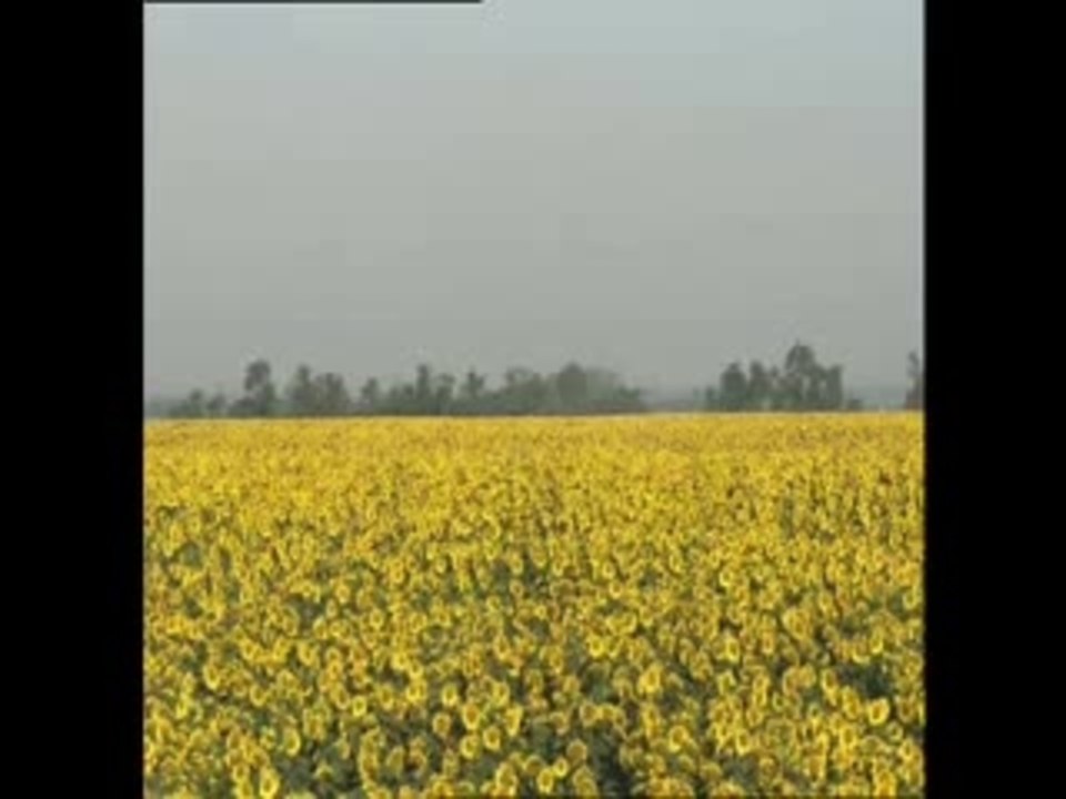 Unser TÃ¤glich Brot - Trailer (Deutsch)