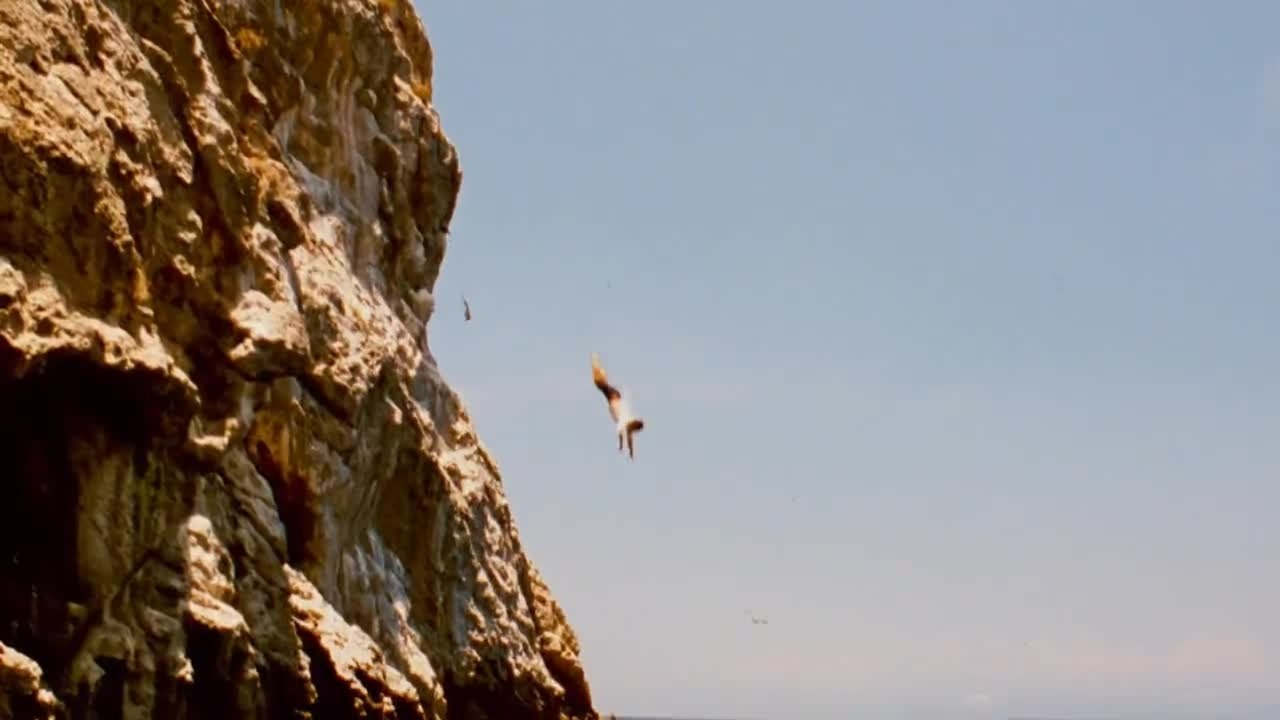 Interview mit Bradley Cooper zu Ohne Limit