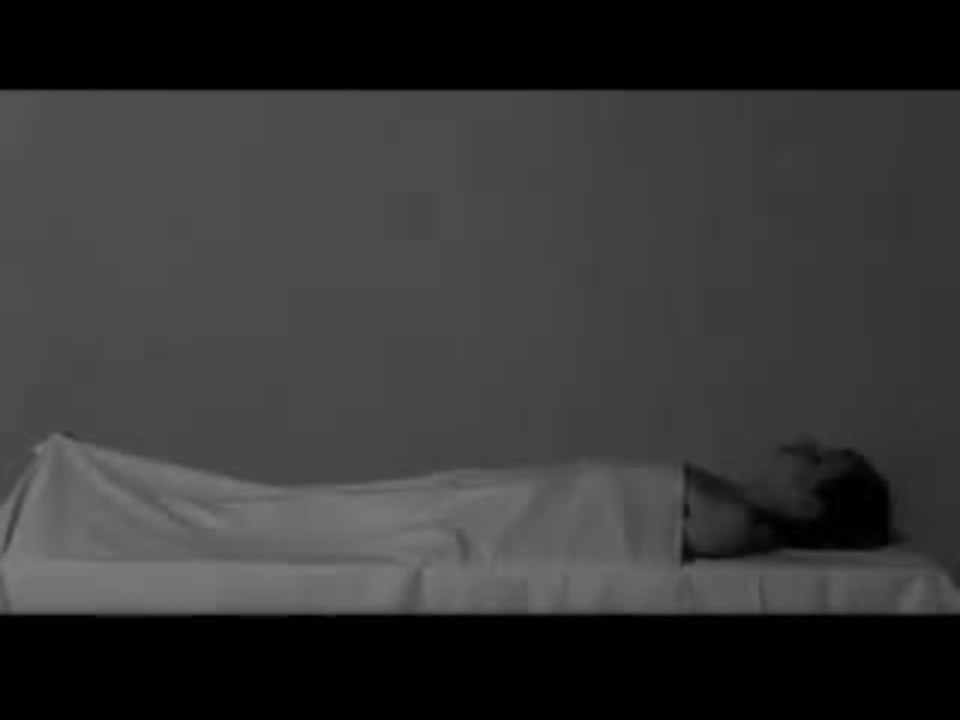 Persona Trailer (Englisch)