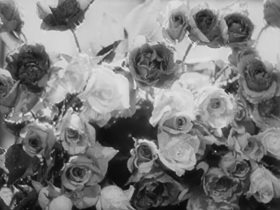 Rosen in Tirol - Trailer (Deutsch)