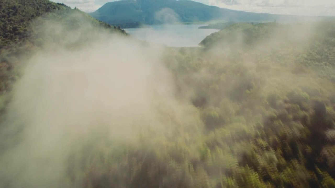 Sea Rex 3D - Trailer (Deutsch) HD