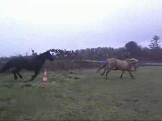 (21-02-08) Aprem avec Ecume et Indy : trop excellent