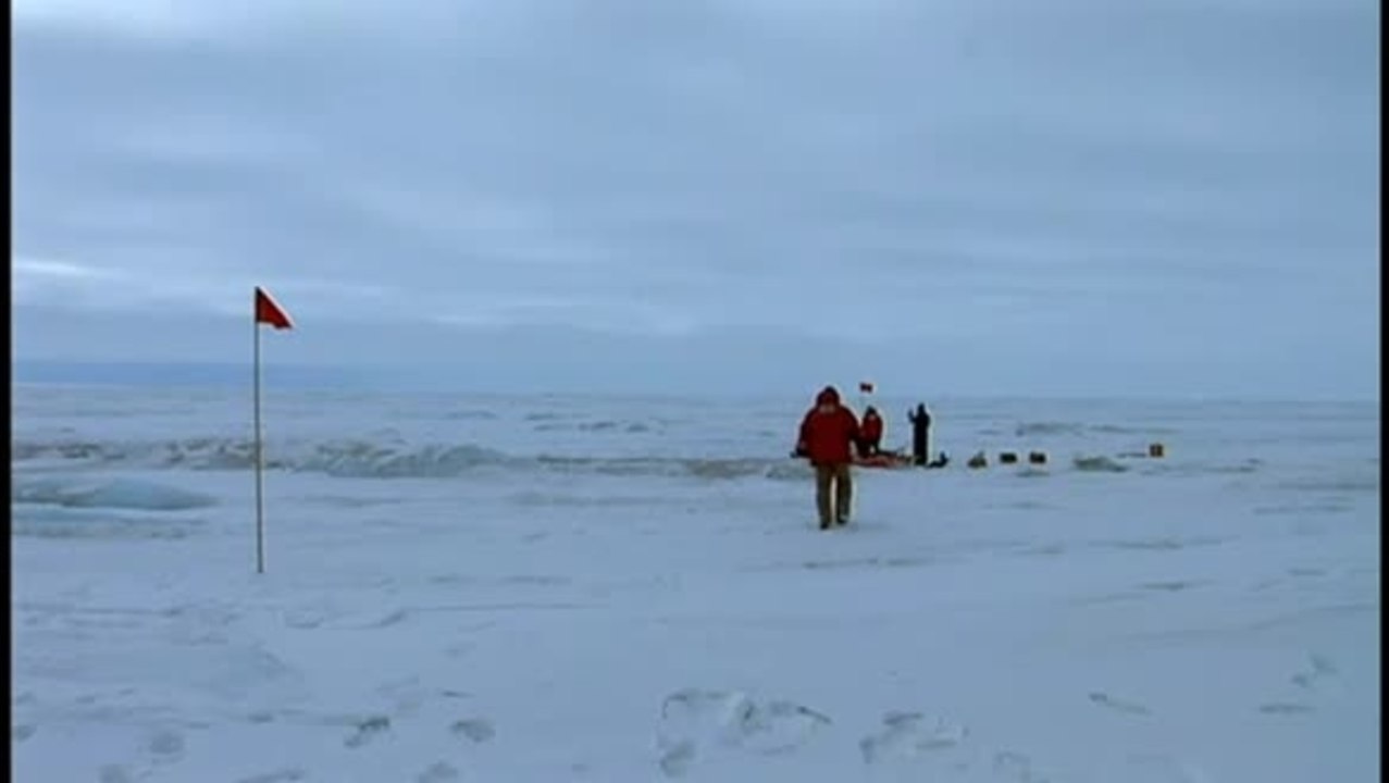Encounters at the End of the World Movie - Clip 3