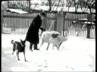 Century of the Self - Clip (English)