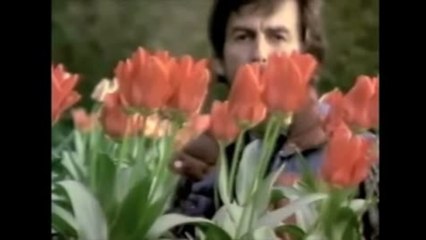 George Harrison: Living In The Material World - Trailer (English)