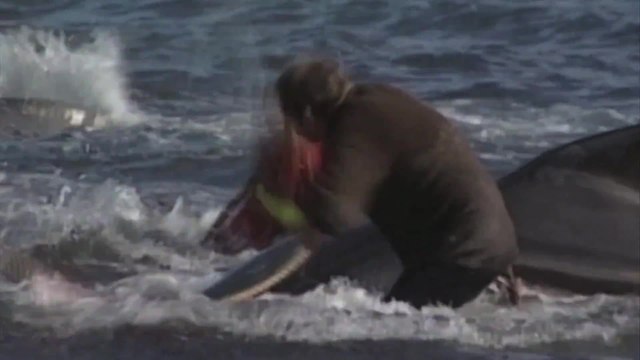 Confessions of an Eco-Terrorist - Trailer (English) HD