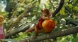Alvin & die Chipmunks 3 - Clip 3 Wie Tiere (Deutsch)