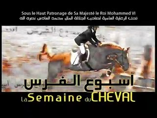 Pub semaine du cheval rtm