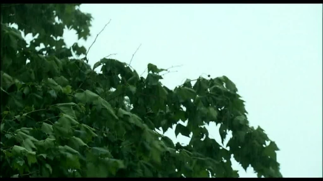 Die Thomaner - Clip 14 Proben im Treppenhaus (Deutsch)