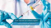 ¿Por qué la vacuna de Pfizer es una buena noticia? “Zar de la Influencia” lo explica