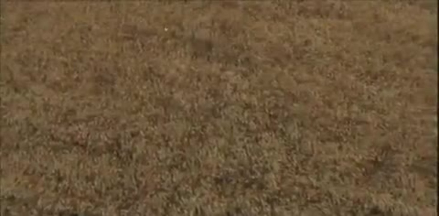 White Deer Plain - Trailer (Chinesisch)