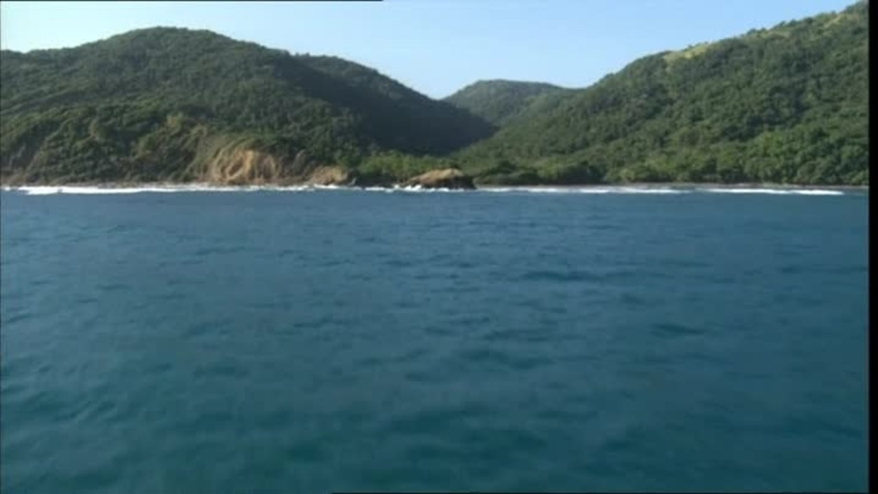 Marley - Clip 2 The Wailers (Deutsch)