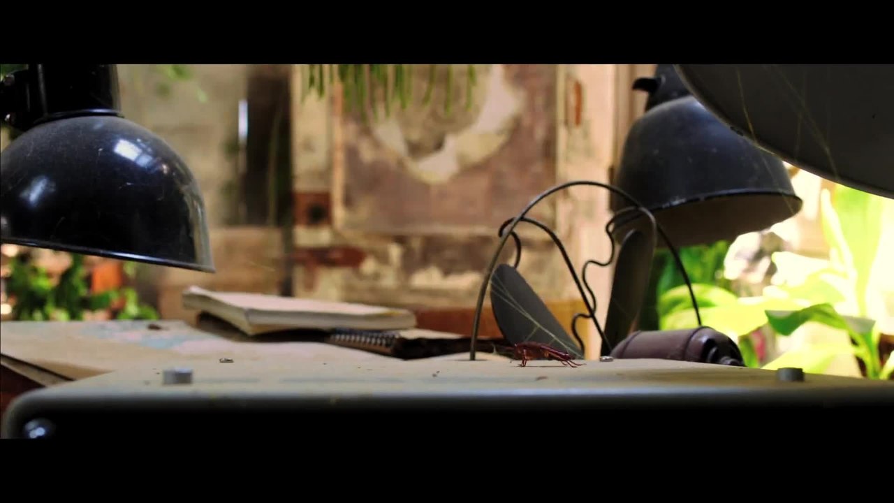 TÃ¼rkisch fÃ¼r AnfÃ¤nger - Clip 6 Keine geile Frau (Deutsch)