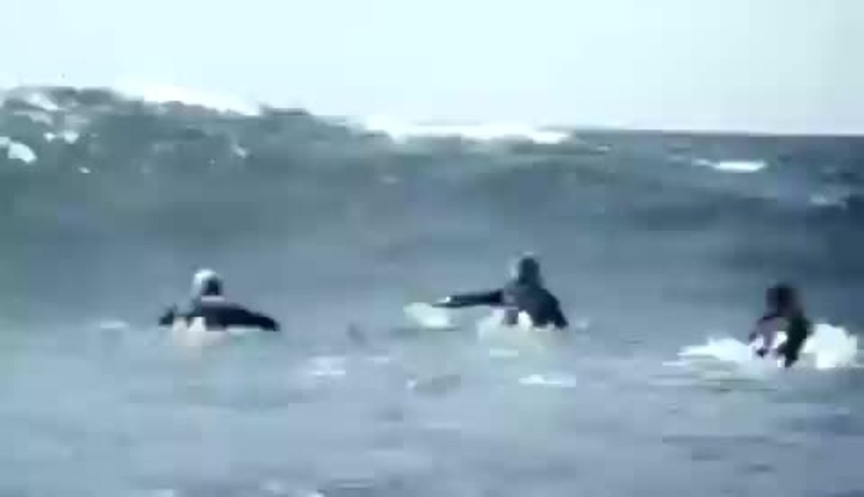 Dogtown Boys - Trailer (Deutsch)