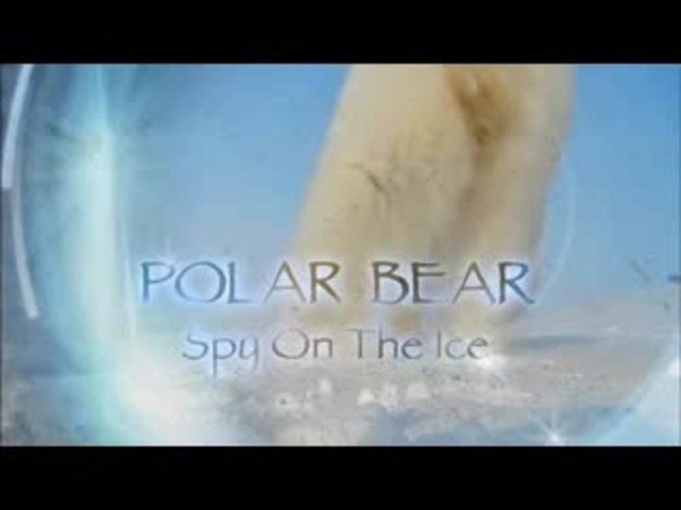 Die EisbÃ¤ren - Aug in Aug mit den EisbÃ¤ren - Trailer (English)