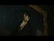 Dark Shadows - UK-Trailer (English)
