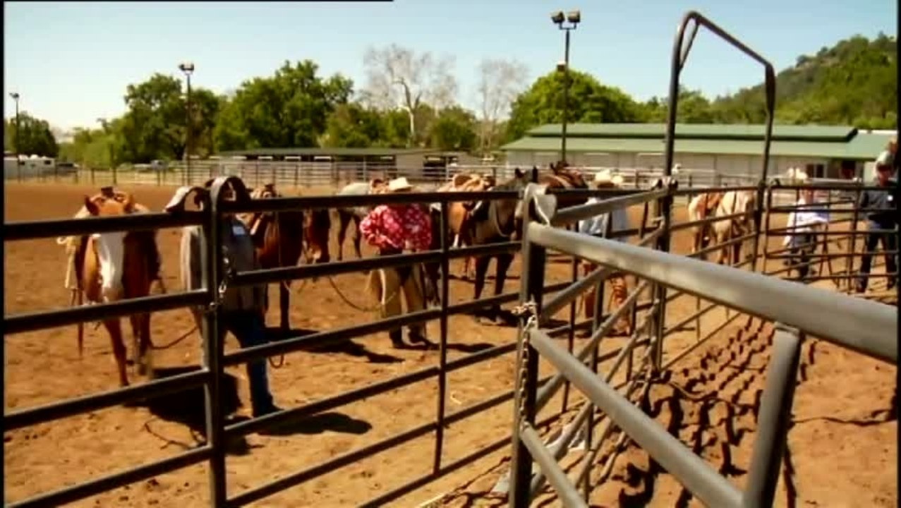 Buck - Clip 9 Das Jungpferd (Deutsch)